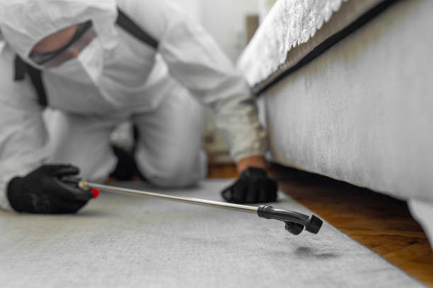 Professional Bed Bug Control technician working in Rosenberg, TX
