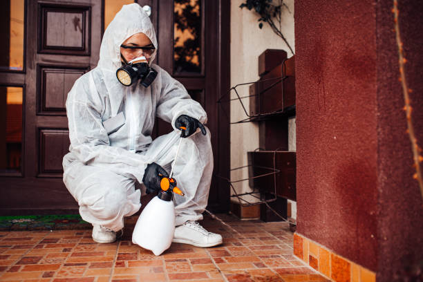 Reliable Bed Bug Control contractor in Rosenberg, TX by Nex Pest Control